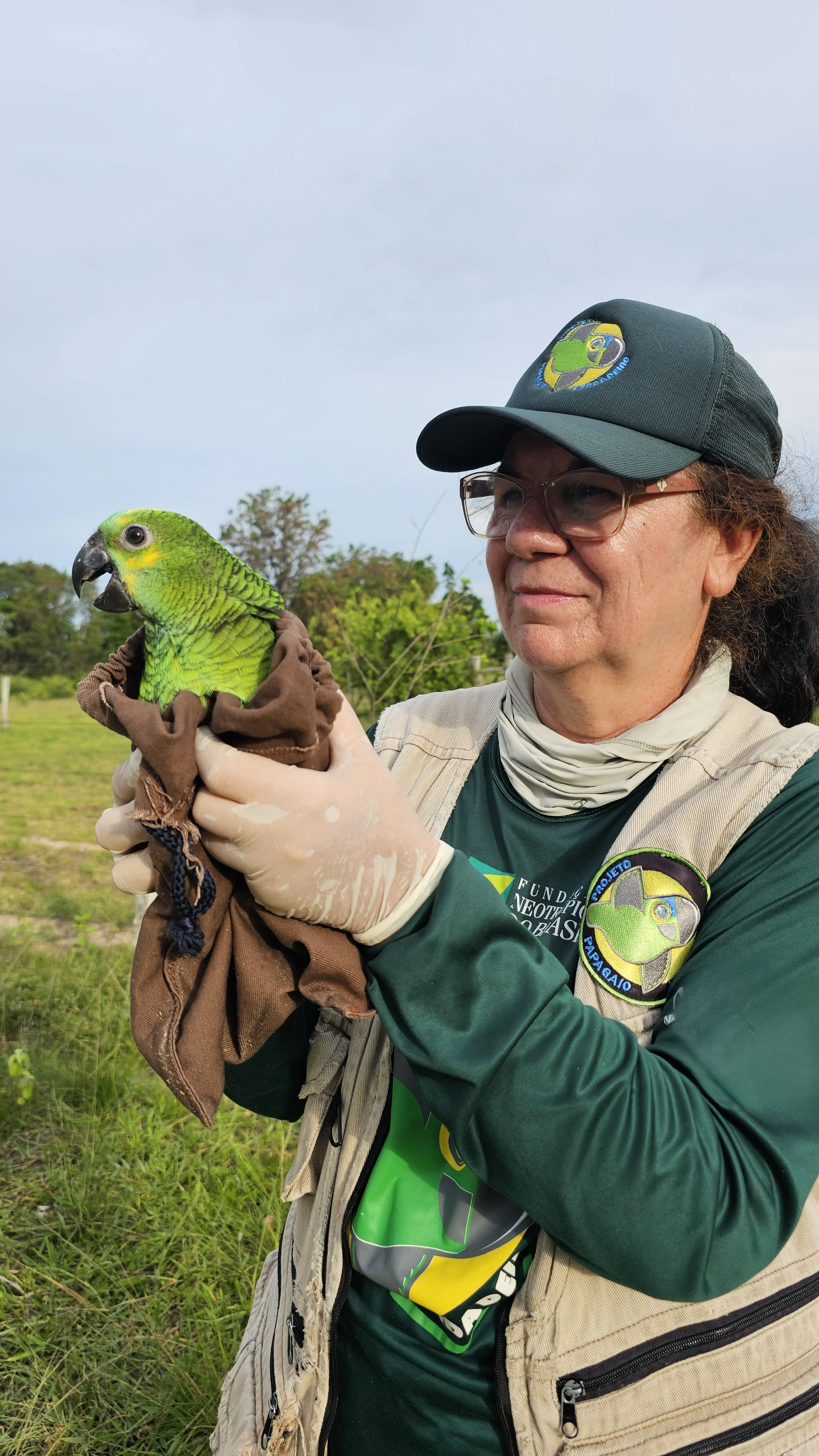 Dra. Gláucia Helena Fernandes Seixas